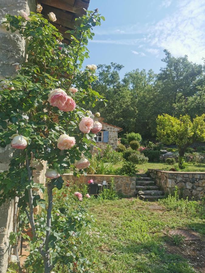 Domaine Geodora, Parfumeur En Provence Villa Montauroux Bagian luar foto