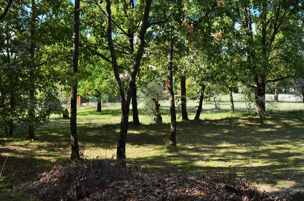 Domaine Geodora, Parfumeur En Provence Villa Montauroux Bagian luar foto